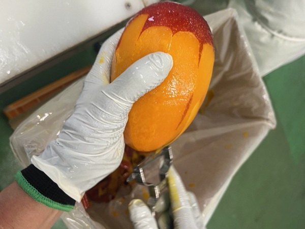 1. 現状の課題：手作業の工程が生む、繁忙期の生産量の壁