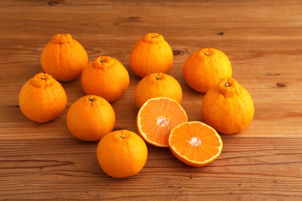 3. 将来の展望:宮崎市から世界へ!みかん産業の活性化に貢献します!