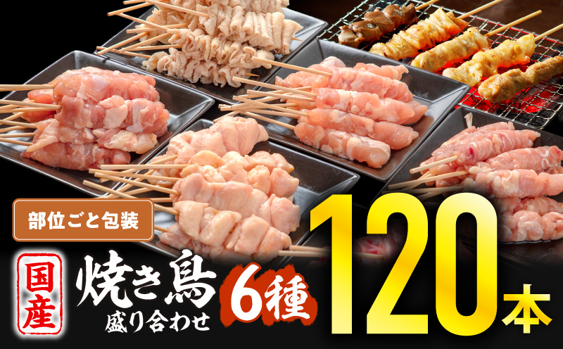 【1～2ヶ月以内に発送予定】若鶏の焼き鳥セット6種(120本)盛り合わせ_M146-001-01