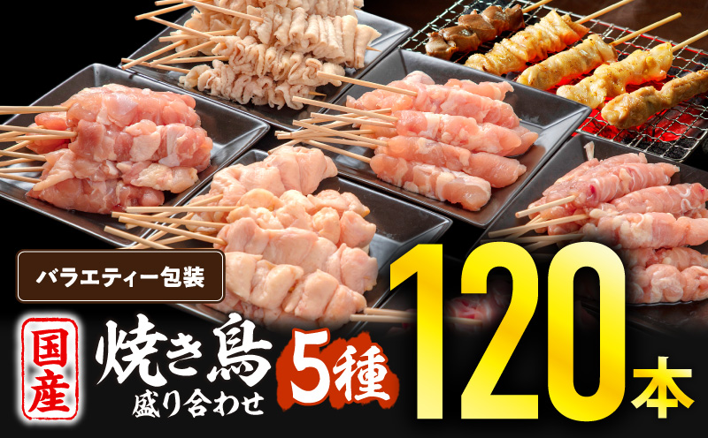 【1～2ヶ月以内に発送予定】若鶏の焼き鳥セット5種(120本)バラエティーセット_M146-016-01