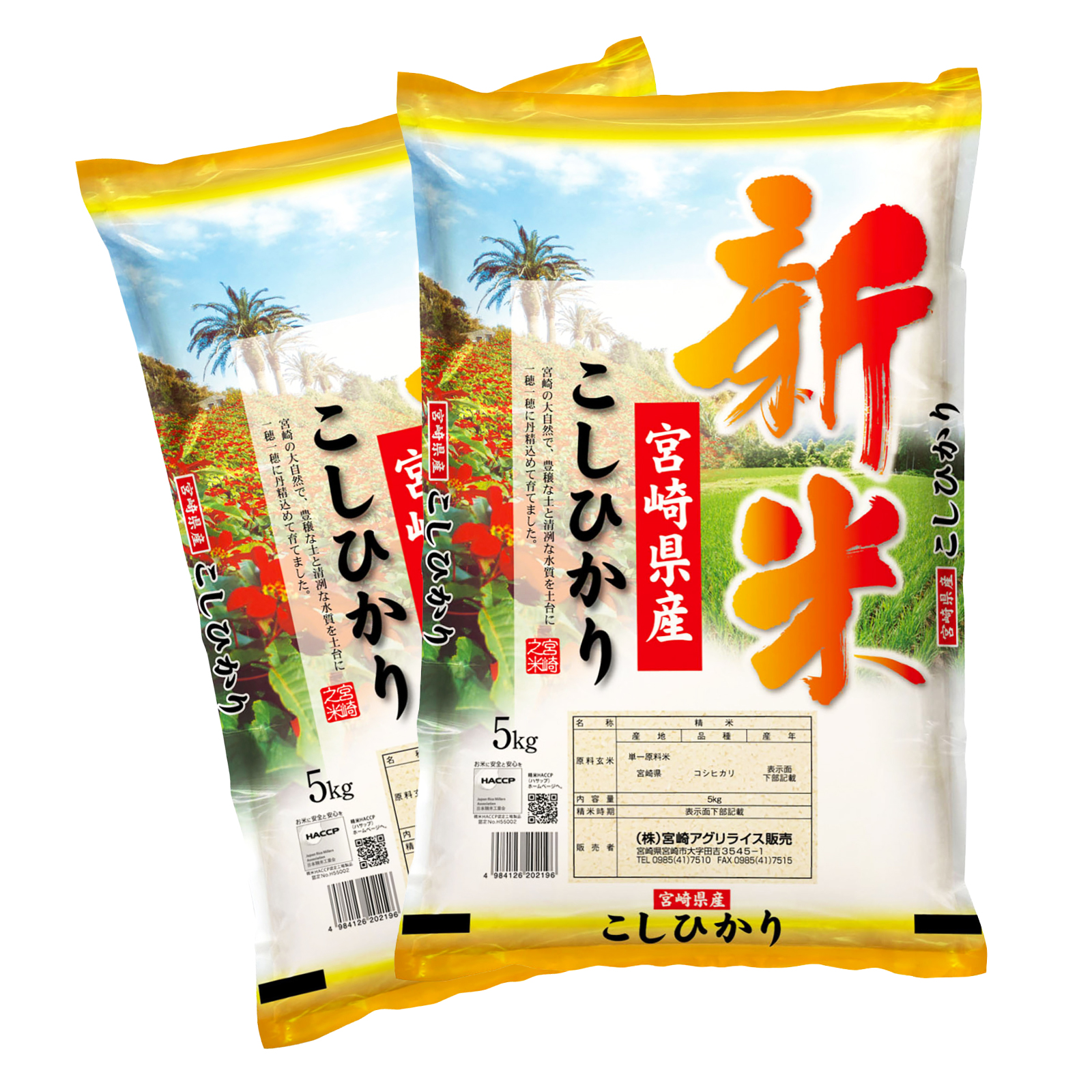 【2～7営業日以内に発送予定】《令和8年産》宮崎県産こしひかり 合計10kg(5kg×2袋)_M181-007-02-7E