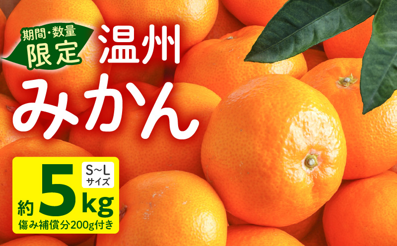 【2025年10月末~2026年2月頃までに順次発送予定】《2025年発送先行予約》【期間・数量限定】温州みかん5kg(傷み補償分200g付き)_M249-001-01