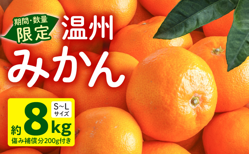 【2025年10月末~2026年2月頃までに順次発送予定】《2025年発送先行予約》【期間・数量限定】温州みかん8kg(傷み補償分200g付き)_M249-001-02