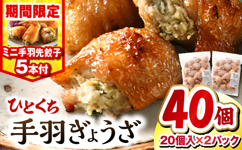 【2025年10月発送】【期間・数量限定】ひとくち手羽ぎょうざ 計40個(20個入×2)・手羽先餃子(小サイズ5本)_M025-005-B-oct